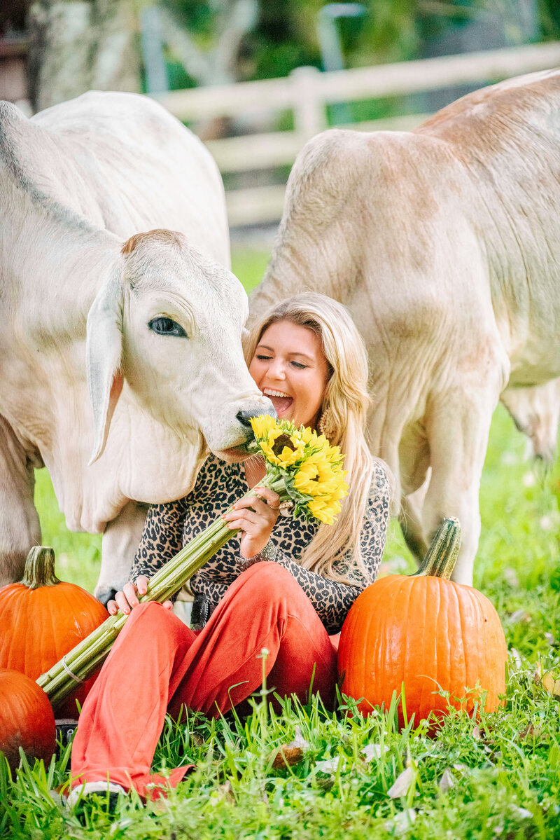 miami pet photography of a sitting next to pumpkins smiling while her cows try to eat the sunflowers in her hand