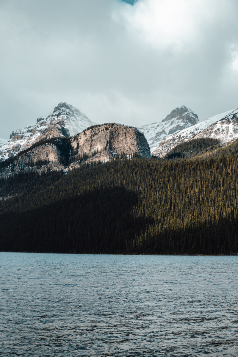 Screenshot 2024-12-23 at 9.14.56 PM