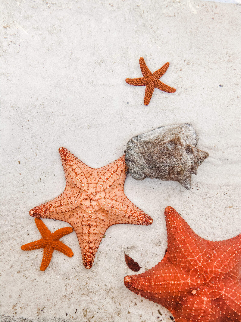 social-squares-escape-travel-styled-stock-images018-scaled