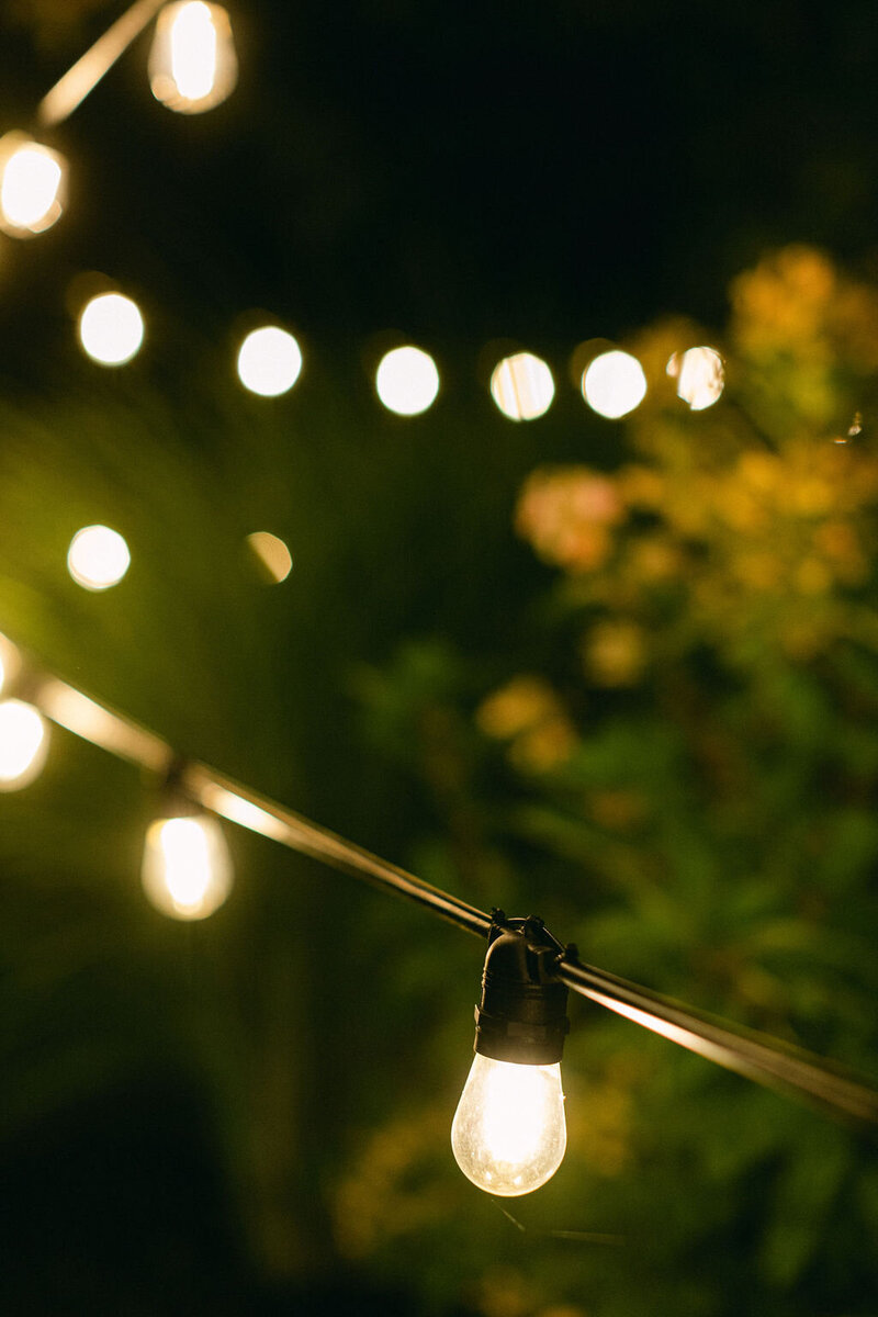 outdoor lit sting lights at Windridge Estate wedding venue in Upstate New York