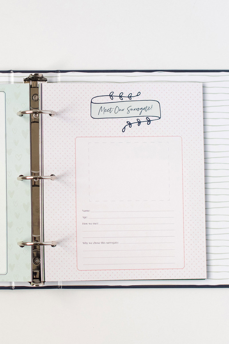 Difference between ivf and surrogacy picture