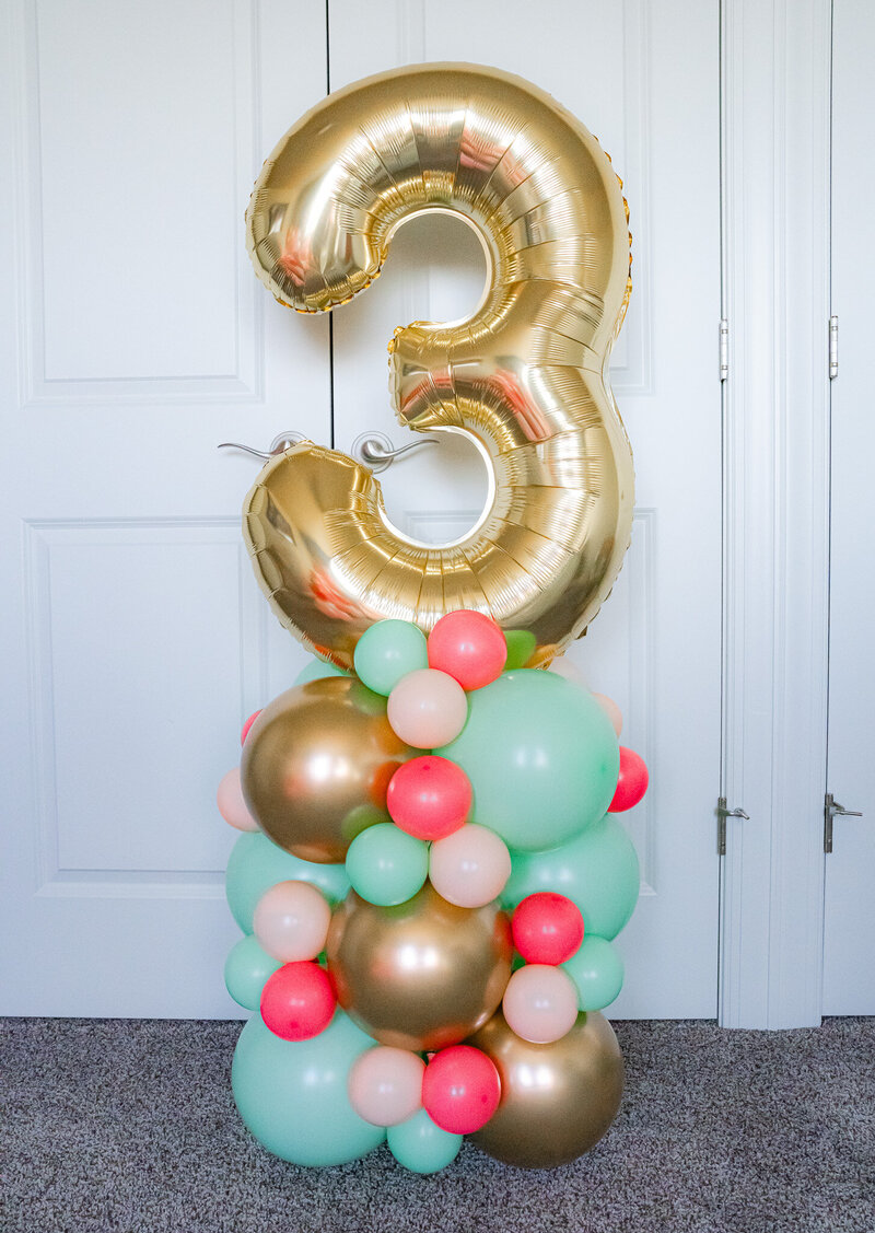 Balloons Bismarck ND 2