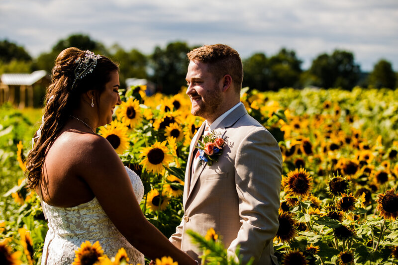 Bride and groom old hands in Port Farms' sunflower field