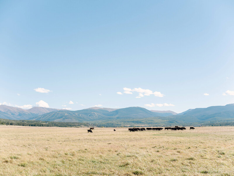 Devils-Thumb-Ranch-Wedding-Photographer-0006