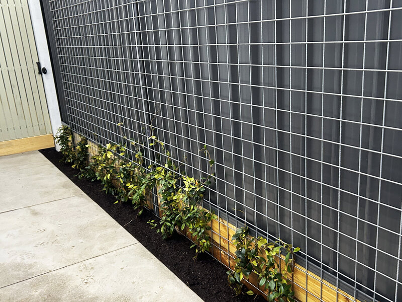 Erin_Street_Residential_Landscaping_05