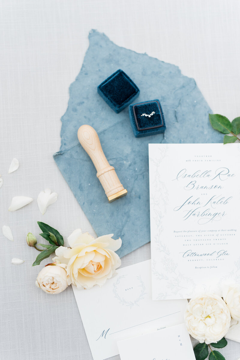 Kestrel-KristinLeannePhotography-7