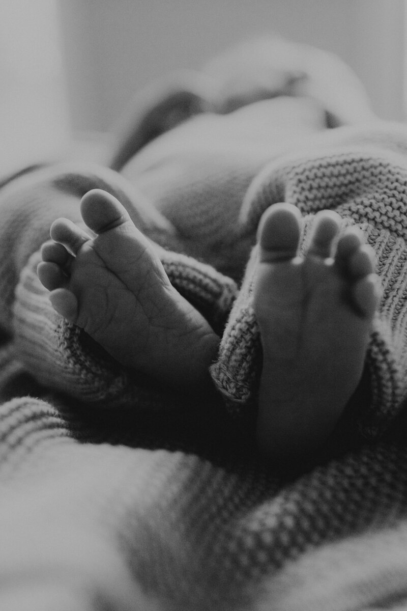 rex newborn77