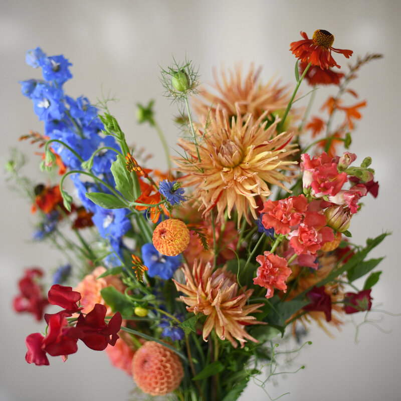 hand-tied summer bouquet of fresh flowers from the garden including dahlias delphinium sweet peas and snapdragons in Victoria BC - Fleuris Studio & Blooms