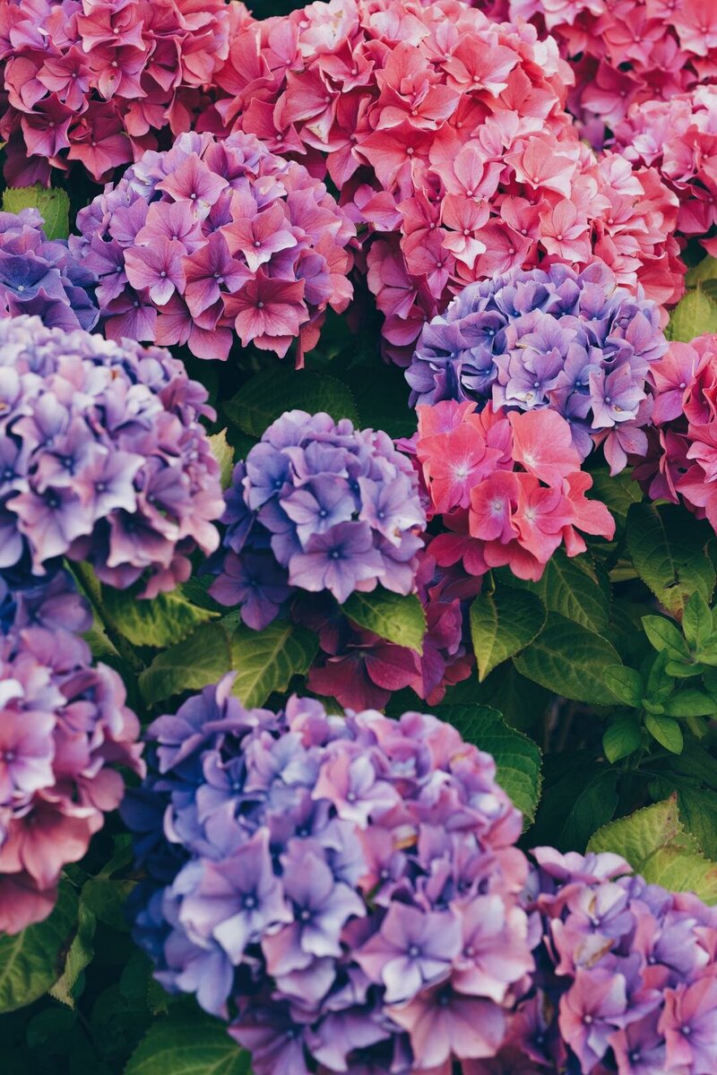 2565B7B8-AE00-4C27-9075-EE1A2EFB24C6
