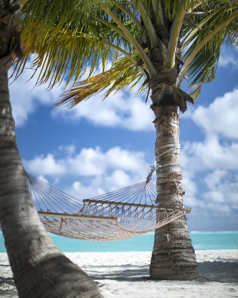 hammock on the beach