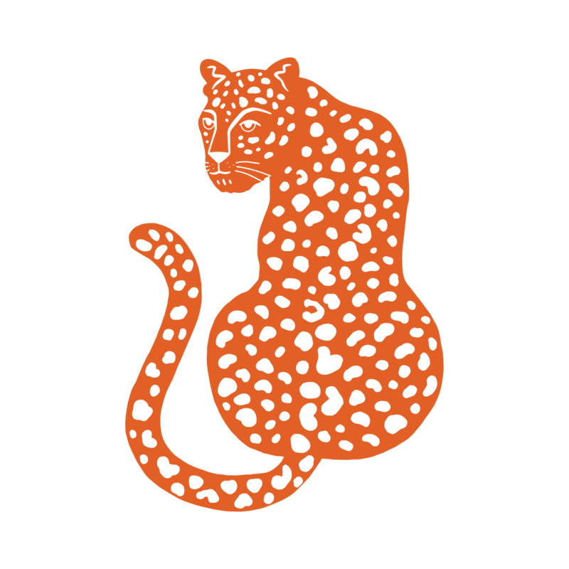 HPC red cheetah illustration