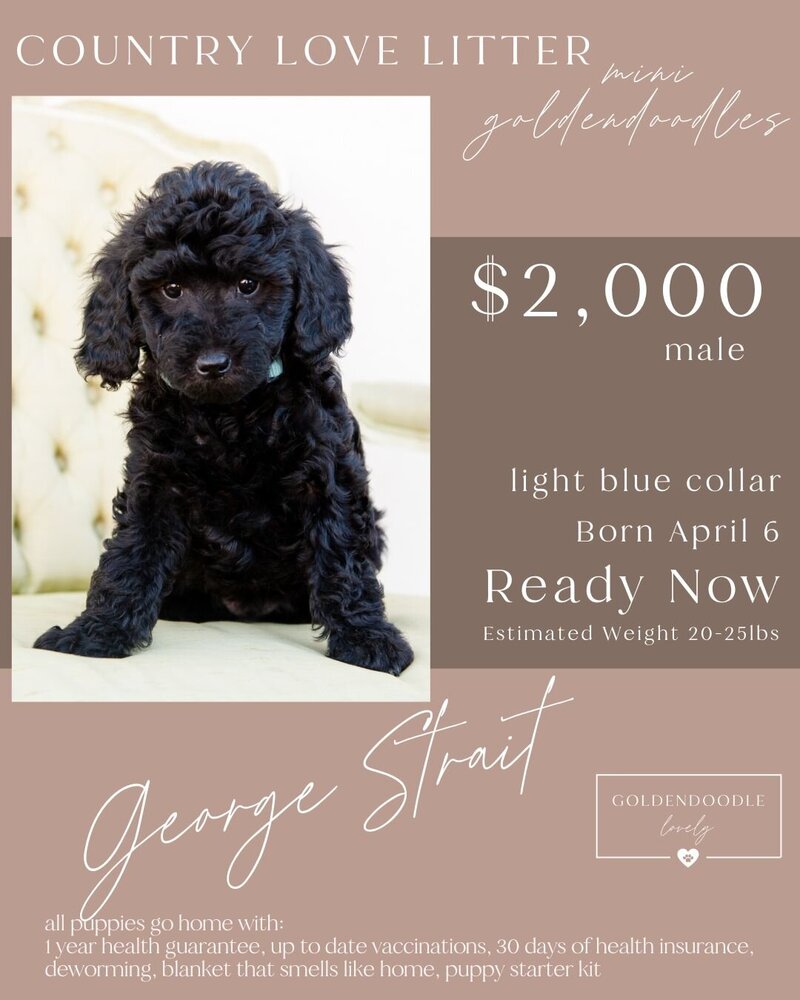 Country George Strait Light blue male