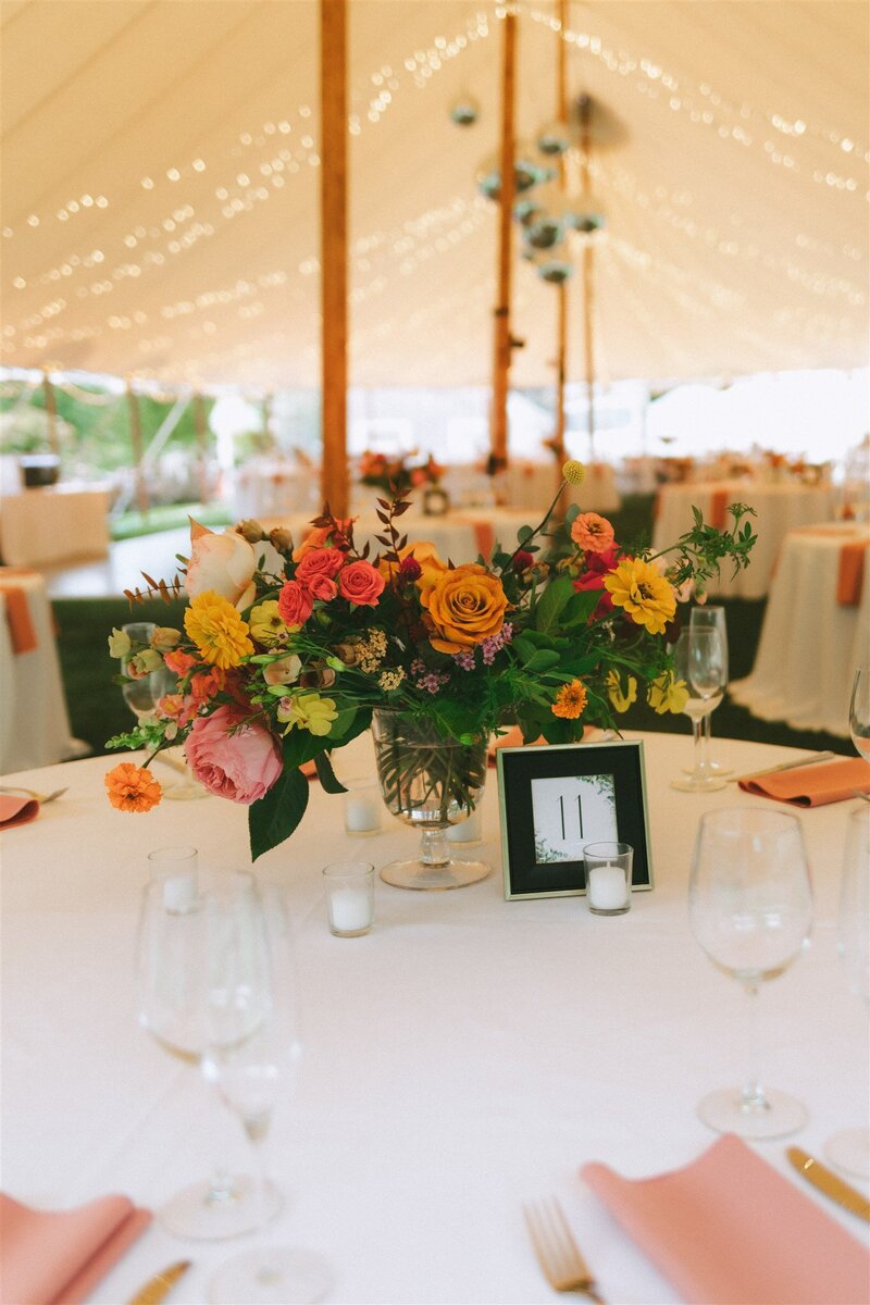 Marissa Arman Reception_008