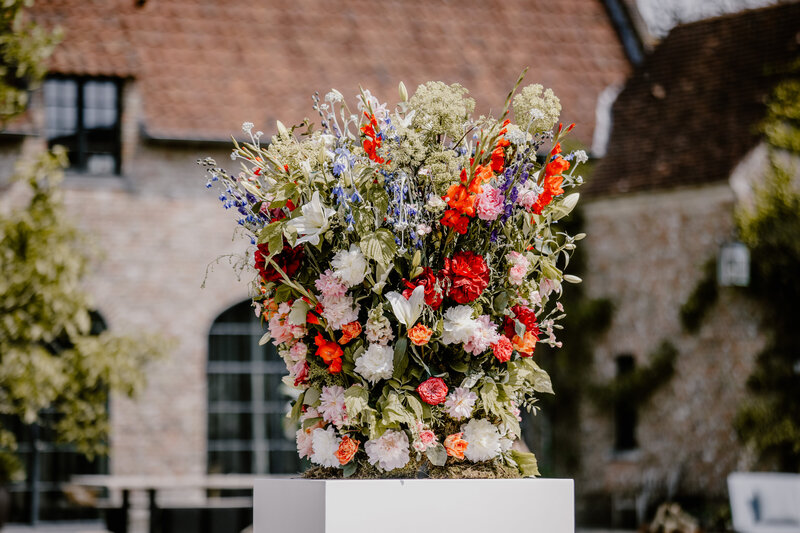 251_2S0A0973_Raïs_De_Weirdt_L_Raïs_De_Weirdt_L