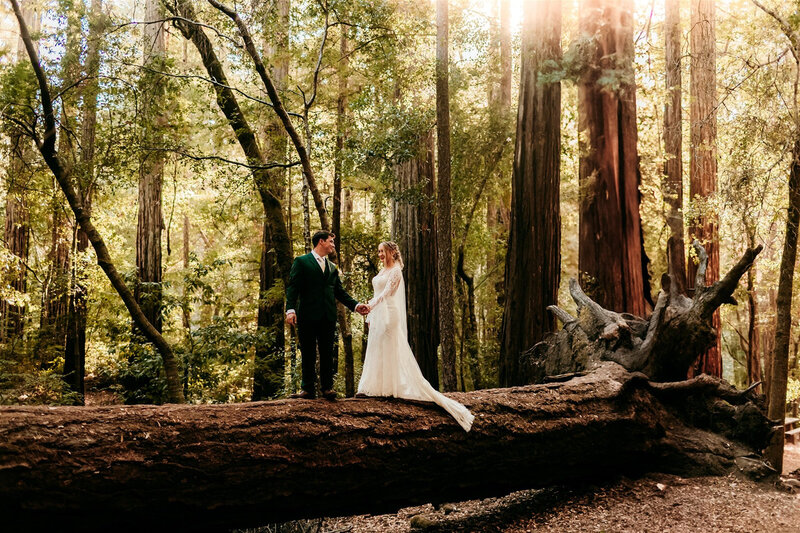 Couple standing on a fallen tree during an adventurous redwood forest elopement.