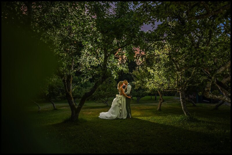 Magical and romantic wedding Portrait of a bride and groom at sunset in Humboldt County, California, by Parky's Pics Photography
