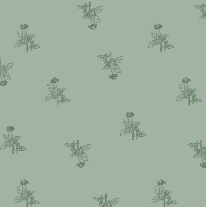 jardin intérieur © l'herbier graphique12