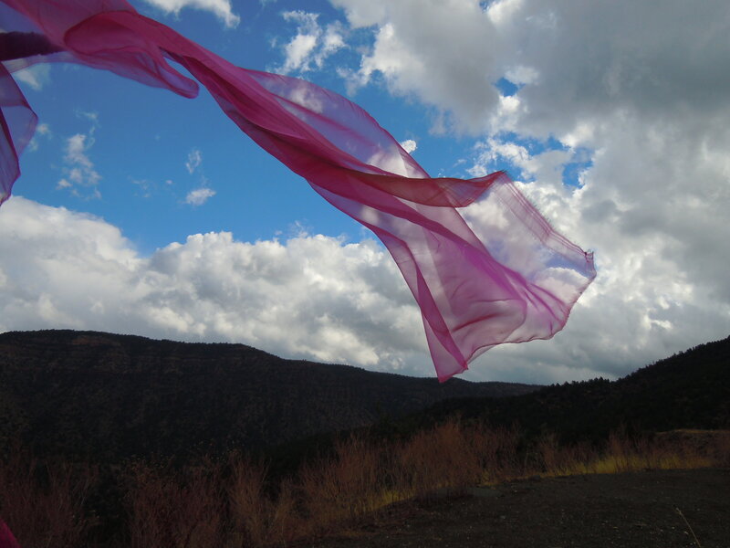 pink line
