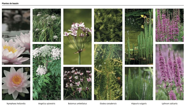 horus-paysages-architecte-paysagiste-etude-6