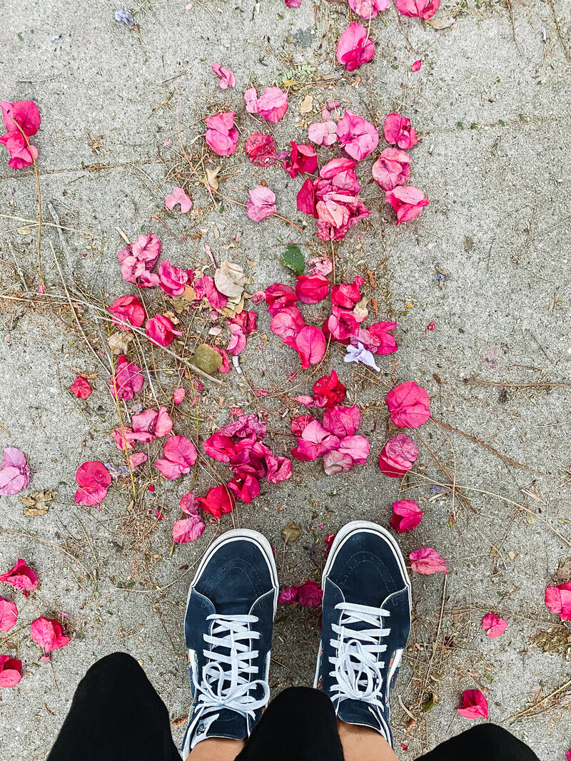 danielle-motif-greatest-of-days-sb-3