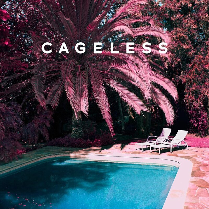 Album Cover Original Artwork Title Cageless Infrared image pool and palm trees