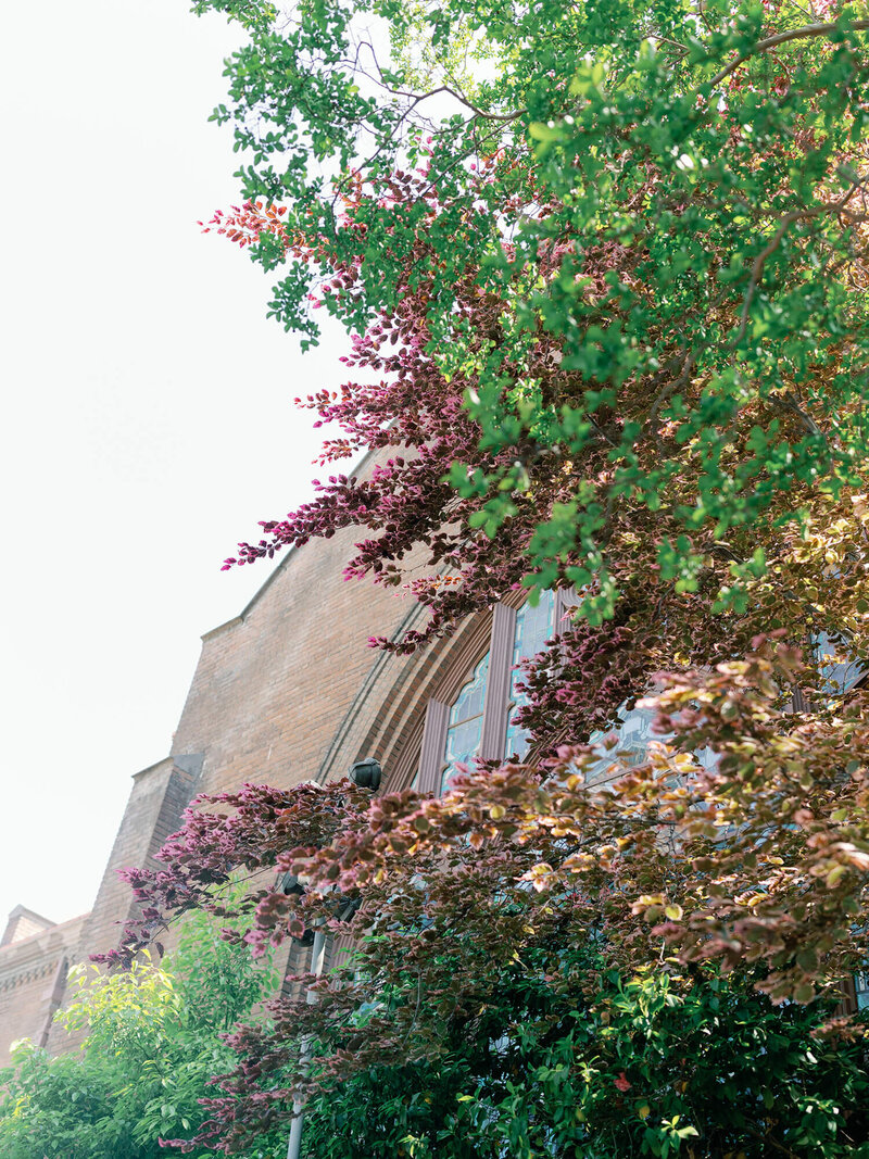 southern california engagement photographer 