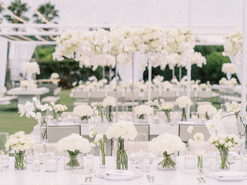 ericastreelman_jenesa and avi-401