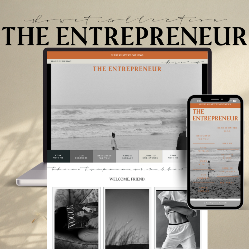 The Entrepeneur
