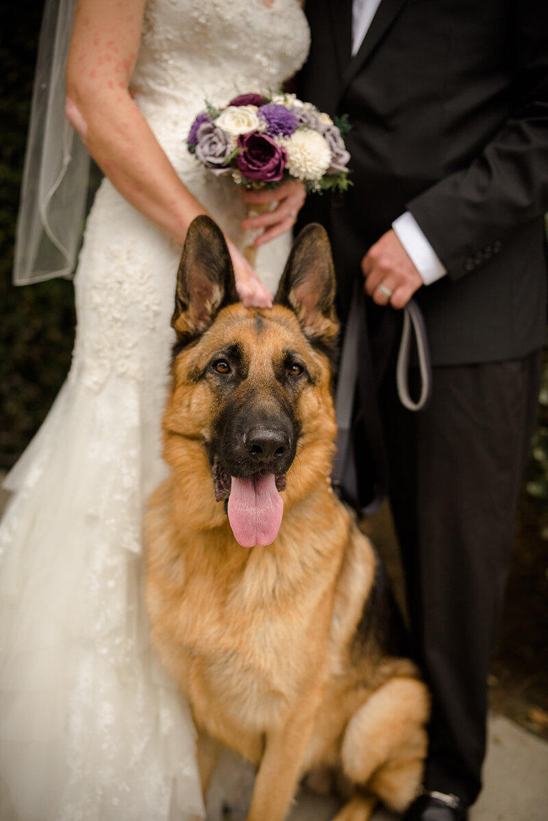 Bride & Groom-96