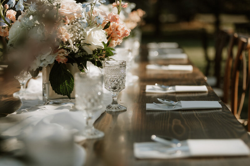 illinois chicago backyard intimate wedding northwest indiana photographer videographer film documentary lisle hyatt regency hotel charles-61