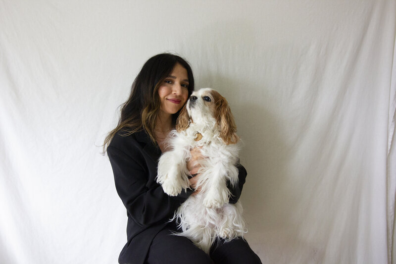 dog new