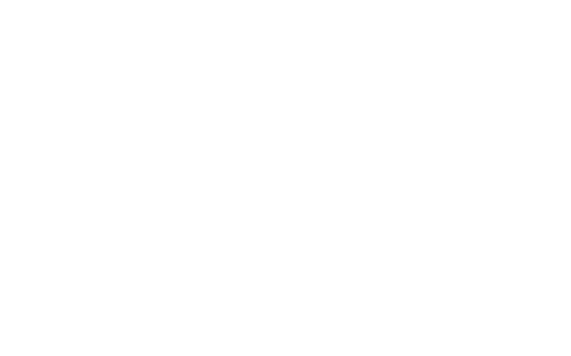 Damico_Logo_white