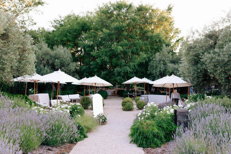 Catherine_liam_rusfarm_healdsburg_july_2025__danipadgettphoto149310