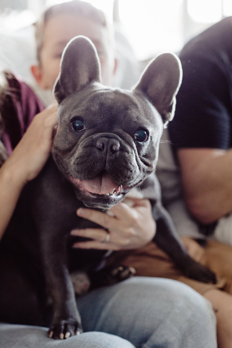 Indigo Power - Family - JessicaCarrollPhotographer-9