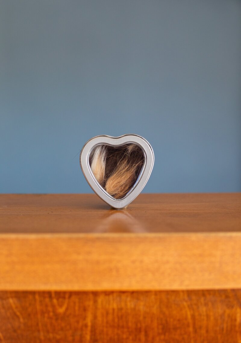 Heart-shaped tin filled with a beloved pet's fur, a thoughtful keepsake offered by Nature's Way Pet Aquamation to honor cherished memories.