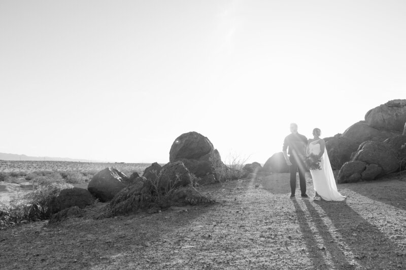 Lindsey + Anthony Joshua Tree Wedding-705