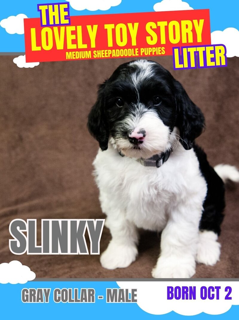 Toy Story - Green Slinky Male