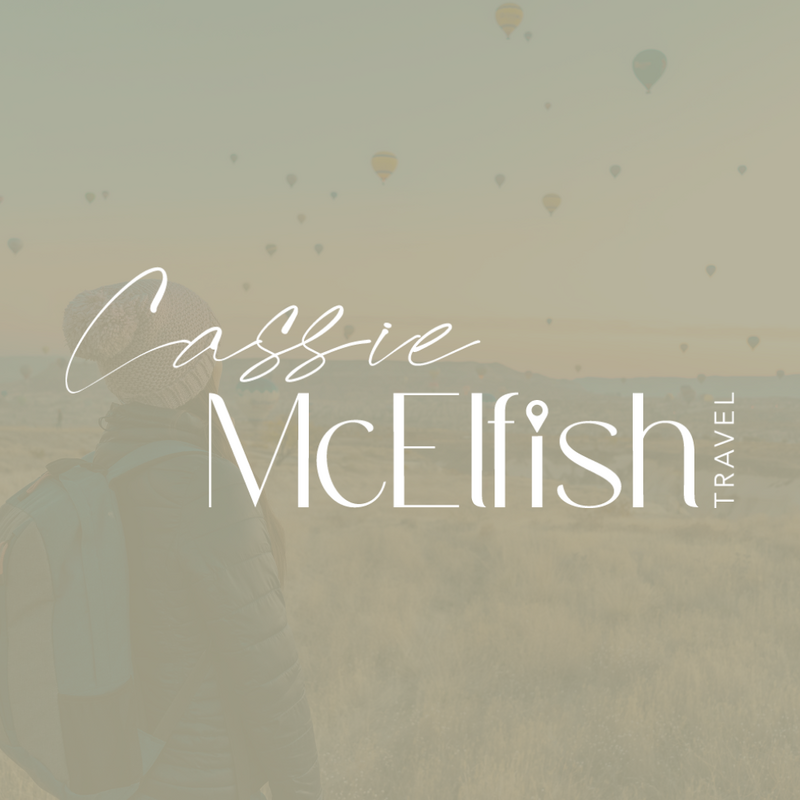 Travel Agent Logo on Green Background with Hot Air Balloons