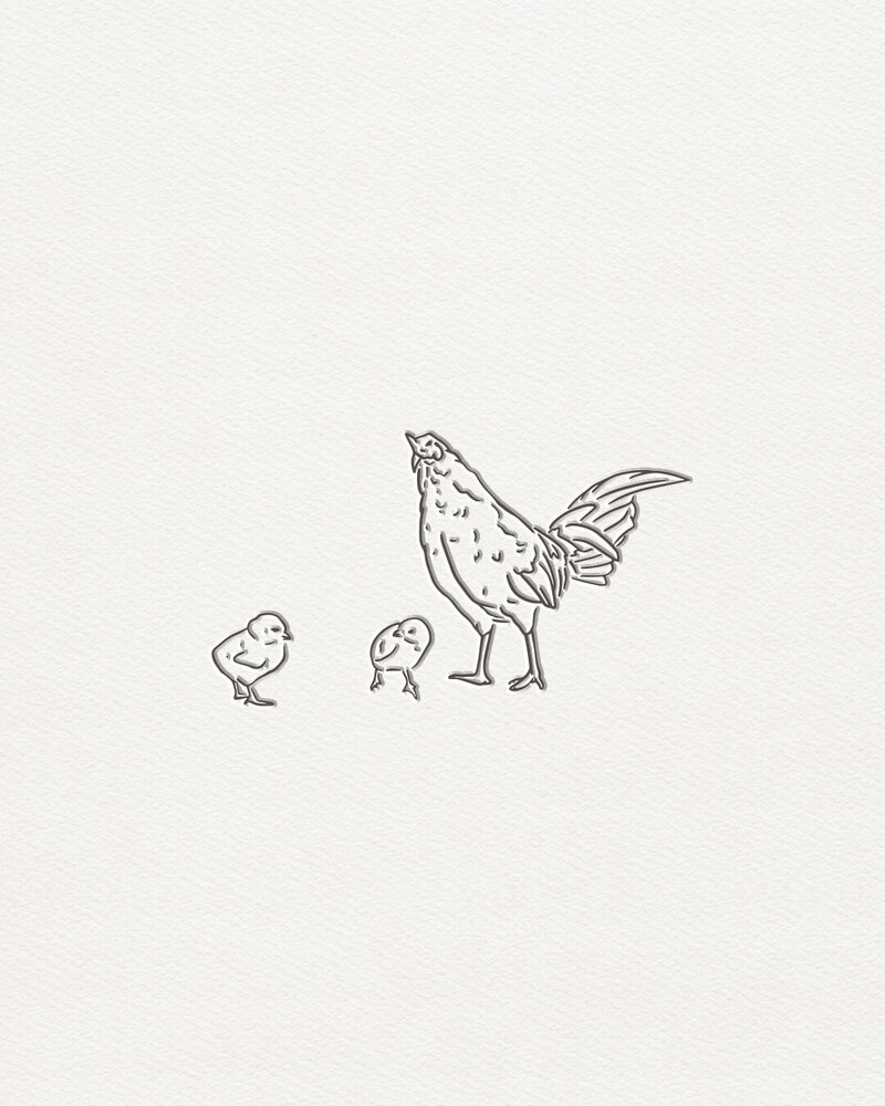 dainty, thin, and whimsical chicken digital illustrations