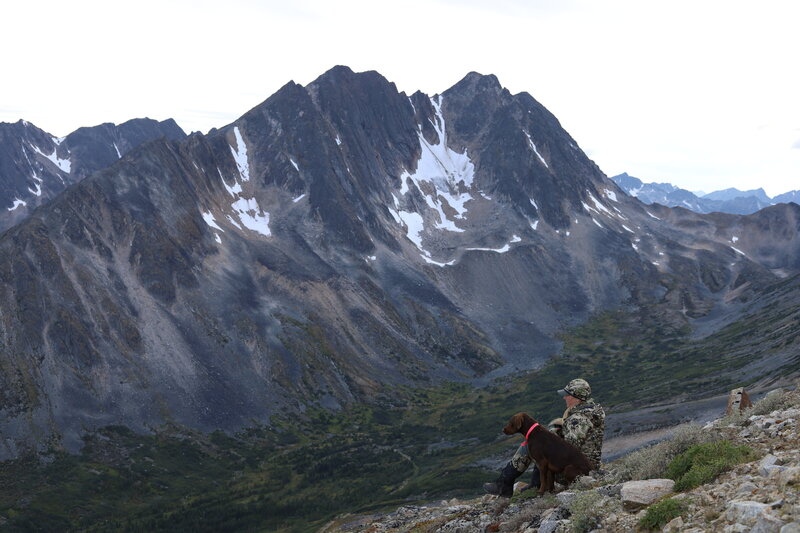 Girl sits looking off into the distance with her dog sitting beside her in the mountains.