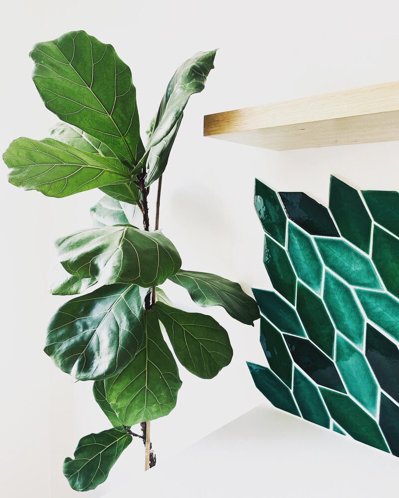 priroda-v-kuchyni-designerka-studiomi