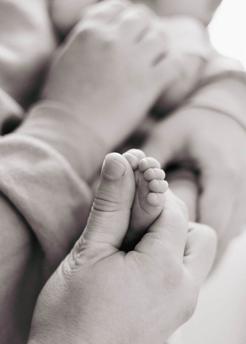 Rowan Newborn Session-71