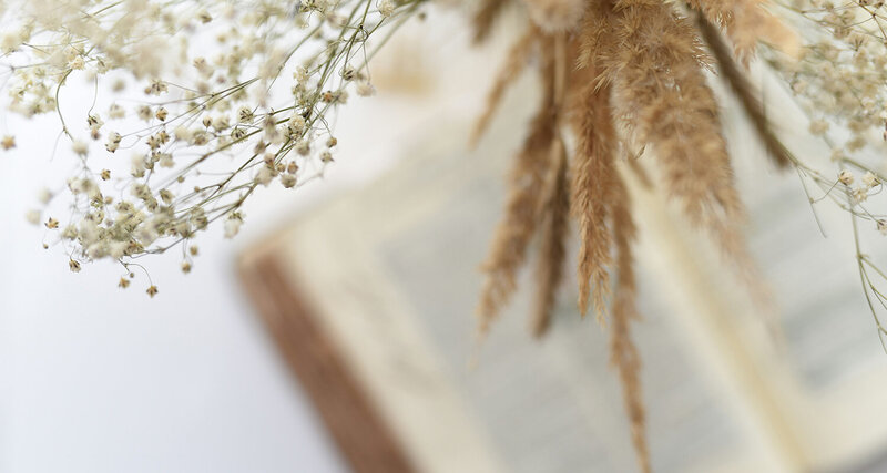 A bible blurred out by tan flowers