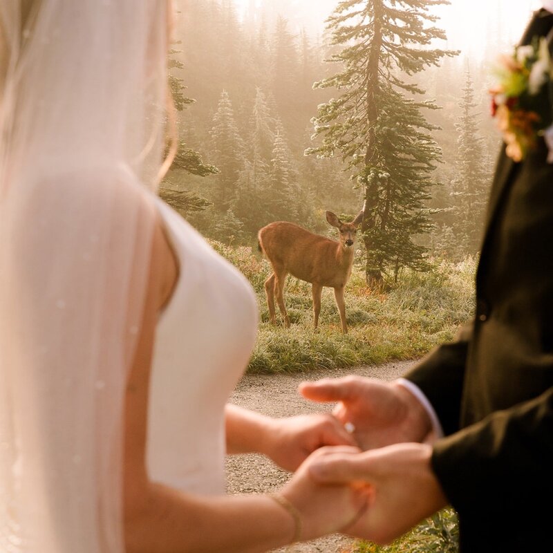 mt-rainier-elopement_Seattle-elopement-photographer_4