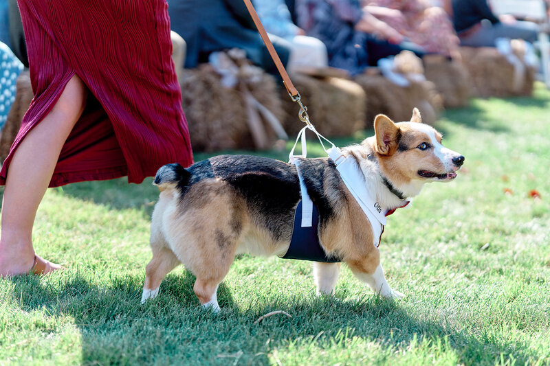 MPY_AL_D_A7R5_85_FM_091325_1944