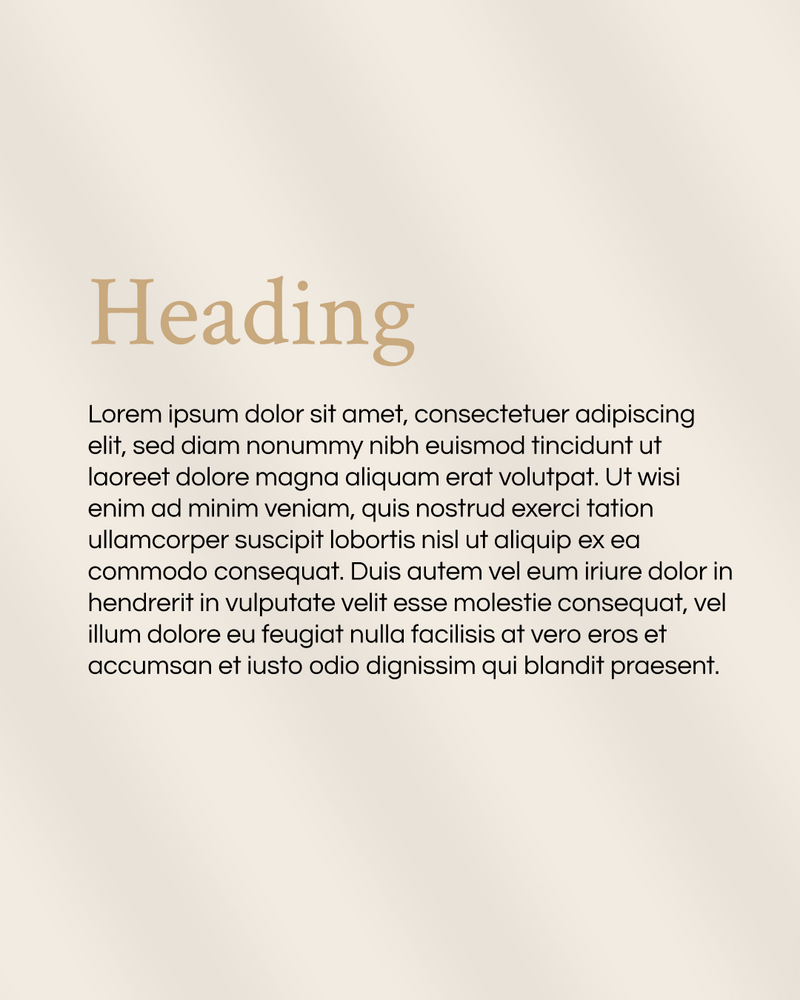 Abalone and Co - graphics15