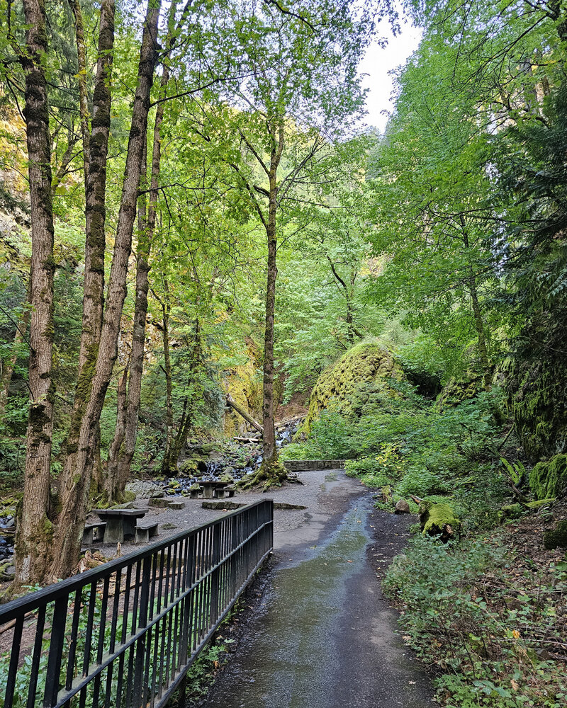 Take a relaxing break amidst nature at a rest stop with tables along the tree-lined bike path at Viento State Park with The Gorge E-Bike Adventure Rentals