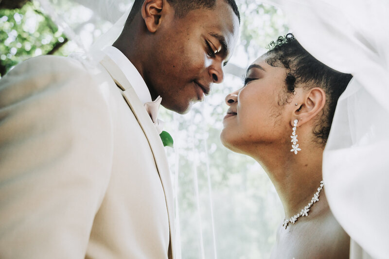 bride and groom under a vail - baltimore wedding photographer