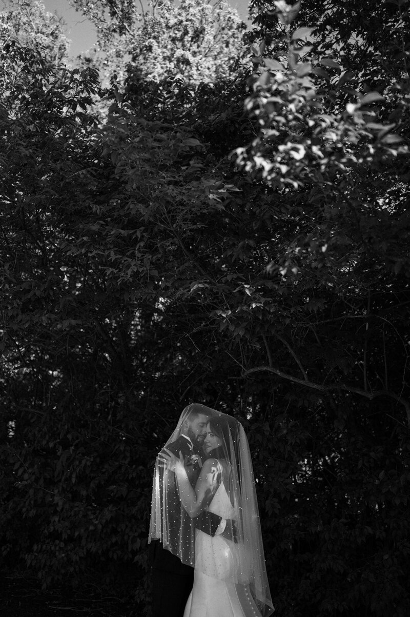 bride and groom under veil