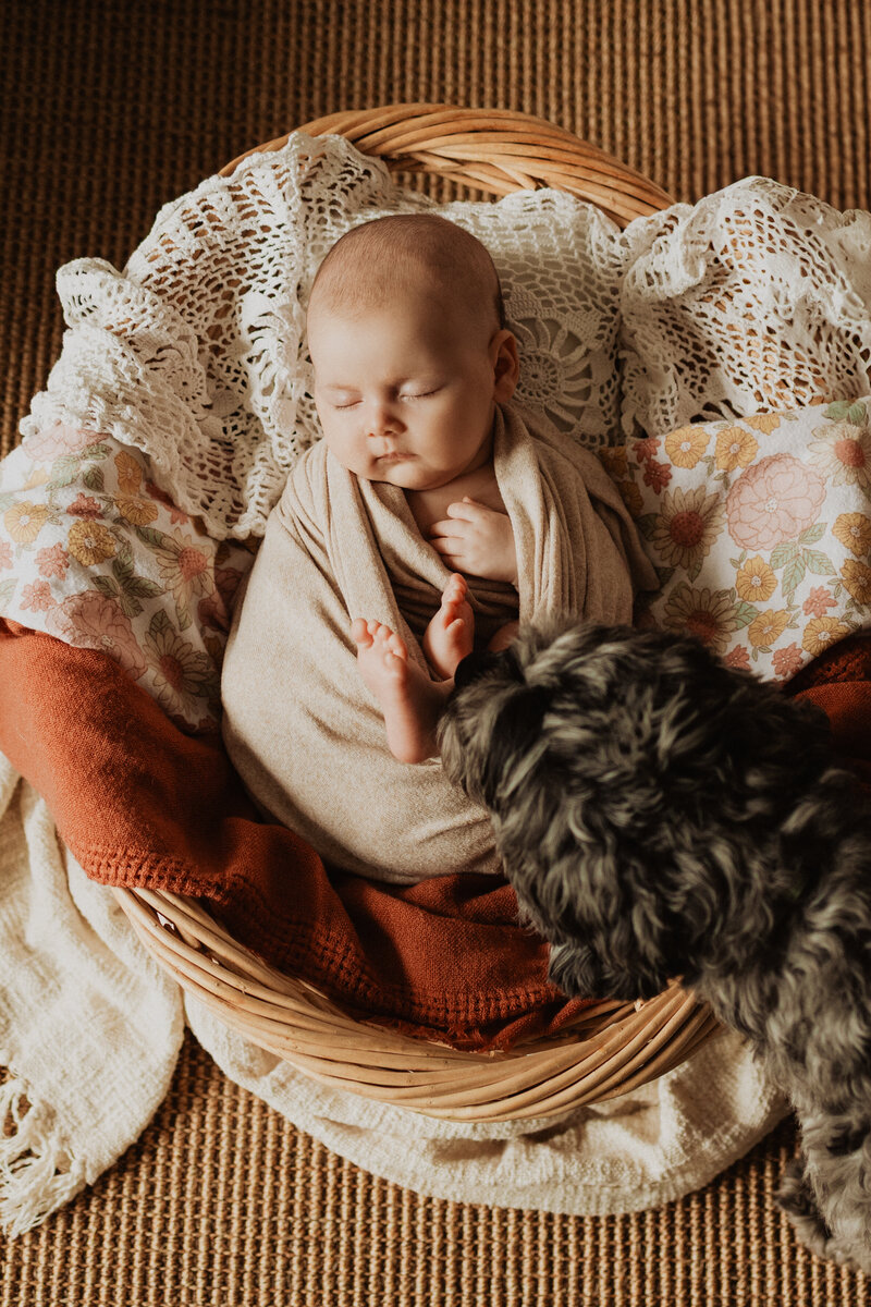 Jessica-Rae-Schulz-Edmonton-Alberta-Newborn-Maternity-Family-Wedding-Photographer-38